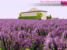 FULL PERM MESH LAVENDER FIELD GROUND COVER