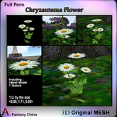 FC- Full Perm Chryzantema Flower