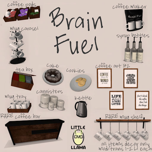 Little Llama - Brain Fuel - Coffee Bar (BOXED) RARE 2