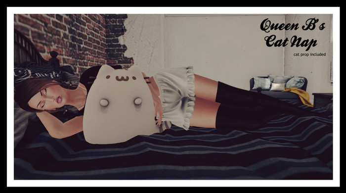 Queen B's - Cat Nap