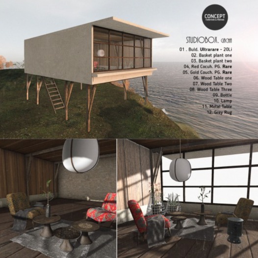 Concept} *02. StudioBox. Basket Plant one