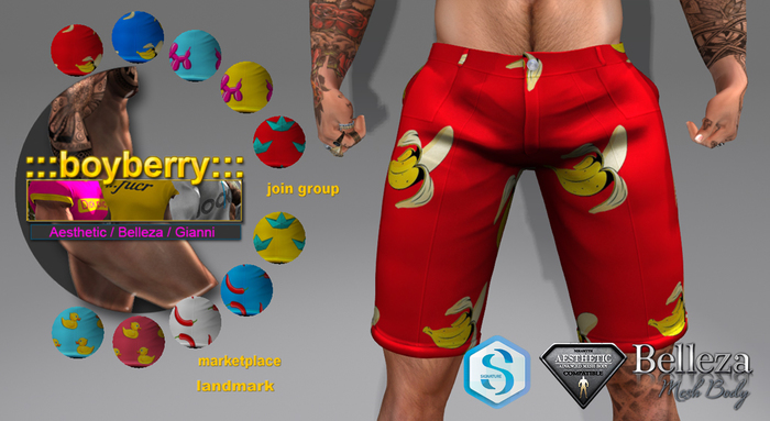 boyberry Garson Shorts