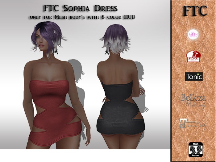 FTC Sophia Dress