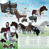 JIAN Precious Ponies 2. Painted Pony BOX RARE