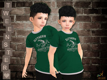 (WEAR ME) Slytherin Tshirt Boy Tweenster