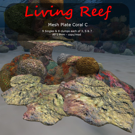 Inochi Reef - Mesh Plate Coral C