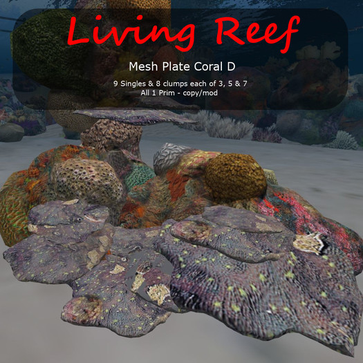 Inochi Reef - Mesh Plate Coral D - Boxed