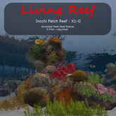 Inochi Reef - Patch Reef X1-G - Boxed