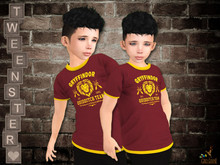 (WEAR ME) Gryffindor Tshirt Boy Tweenster