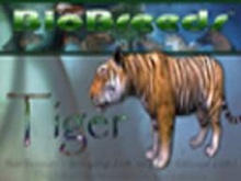 BioBreeds (BB) Wild Ones MALE Tiger STARTER (Boxed)