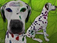 BioBreeds (BB) Dog MALE SL12B EPIC Dalmatian STARTER (Boxed)