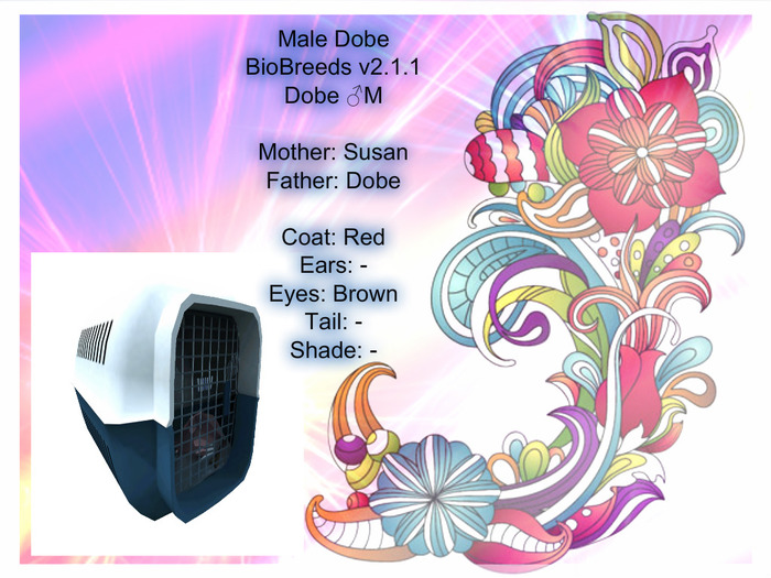 BB Dobe Box-Male
