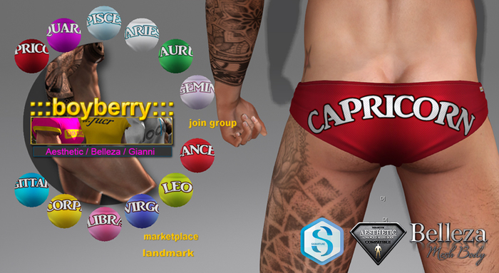 boyberry Zodiac Trunks