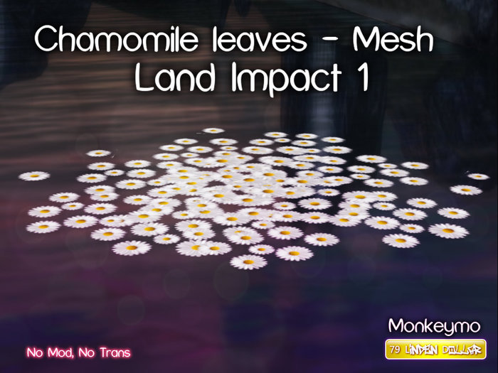 Chamomile leaves - Mesh Creation - Monkeymo