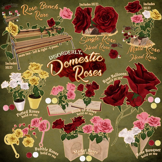 DISORDERLY. / Domestic Roses / Multi Rose Head / RARE