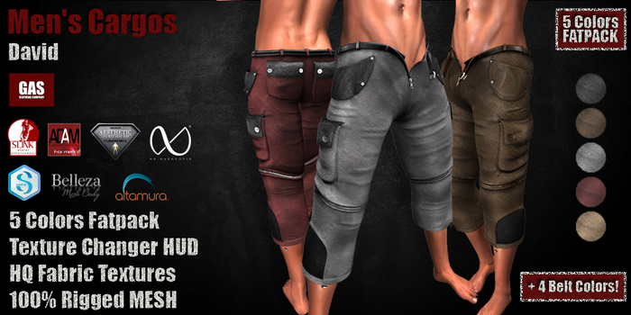 GAS [Men's Cargos David - 5 Colors w/HUD FATPACK] Demo