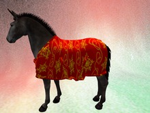 SY 38 Teegle Blanke