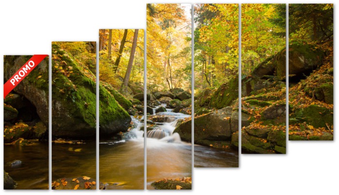 Forest river
