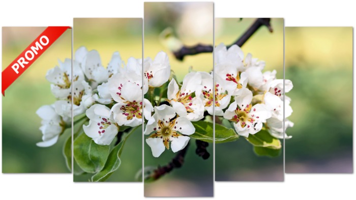 Apple blossoms paint