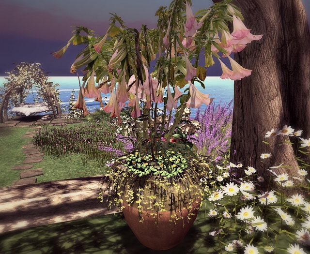 CJ Angel Trumpet Planter with buttercups c/m