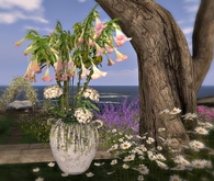 CJ Angel Trumpet Planter with Hydrangea c/m