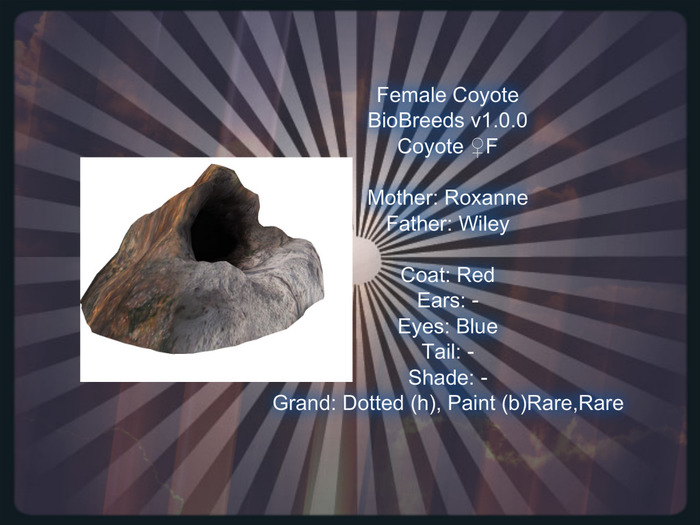 BB Coyote Box