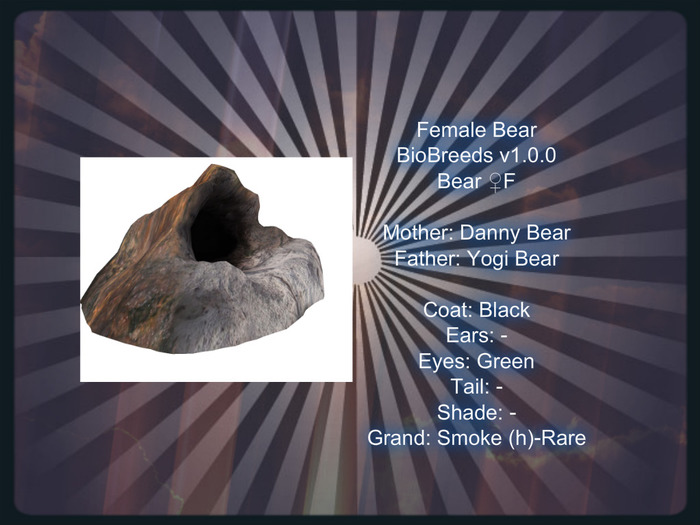 BB Bear Box