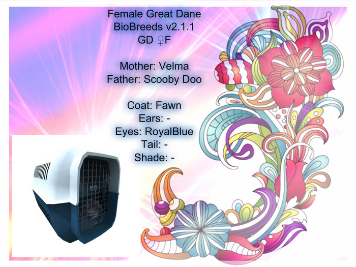 BB GD Box