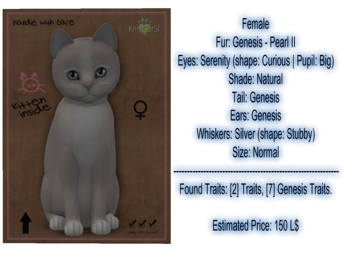 KittyCatS Box - New Born Kitten-Female
