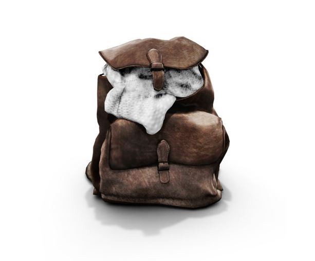 dust bunny . storybook living . old backpack . boxed