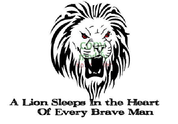 Lion Sleeps In the Heart