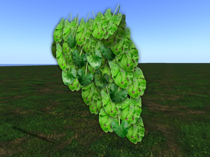 HangingBroadLeafIvy07