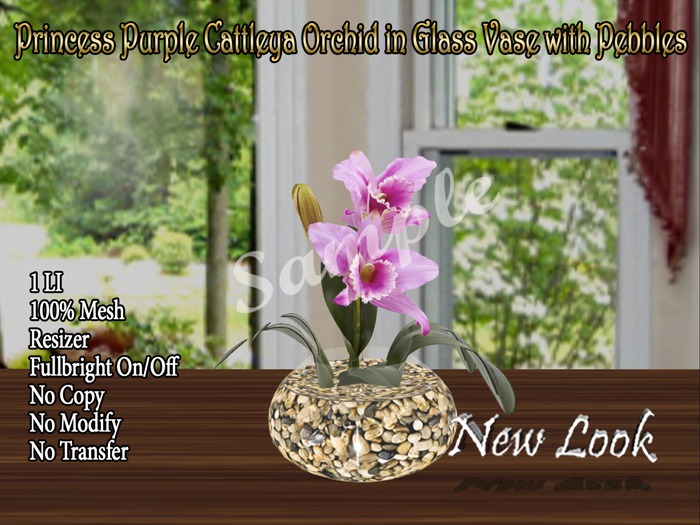 Princess Purple Cattleya Orchid in Glass Vase with Pebbles-LI b