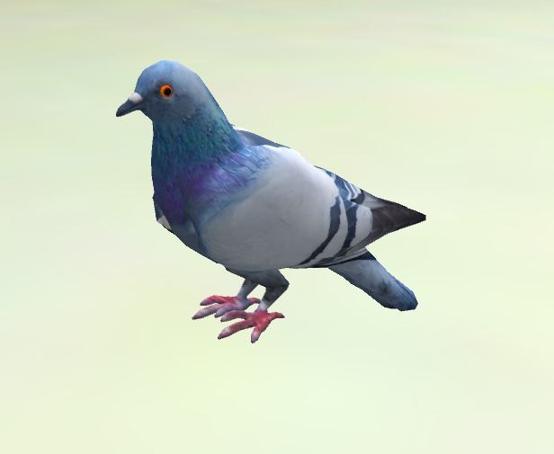 pigeon dove mesh 2 prim