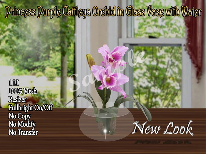 Princess Purple Cattleya Orchid in Glass Vase with Water-LI b
