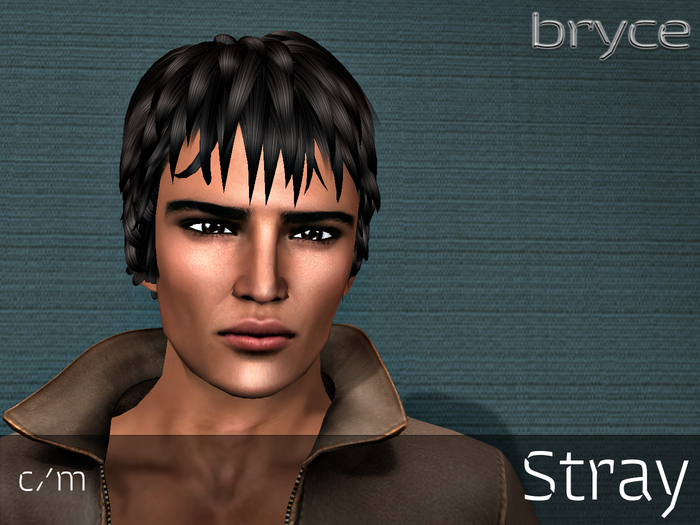 ** Bryce ~ Stray ** - DEMO