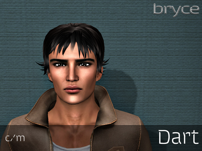 Bryce - Dart Hair - Demo