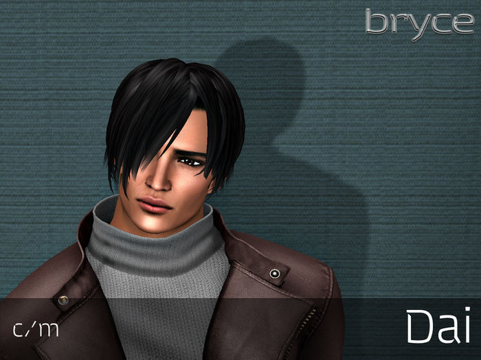 Bryce Designs ~ Demo - Dai