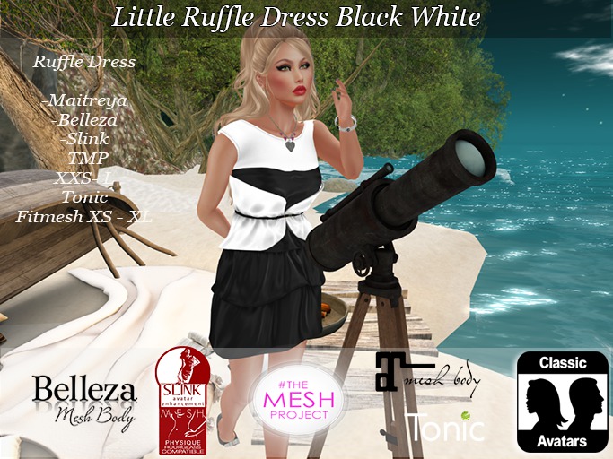 Little Ruffle Dress Black White - Bagged