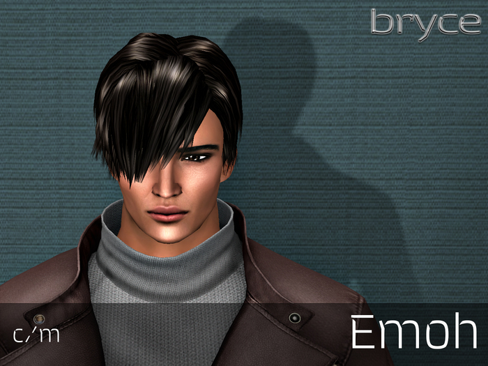 Bryce Designs ~ Demo - Emoh