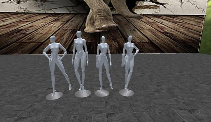 Mannequin decoration stores