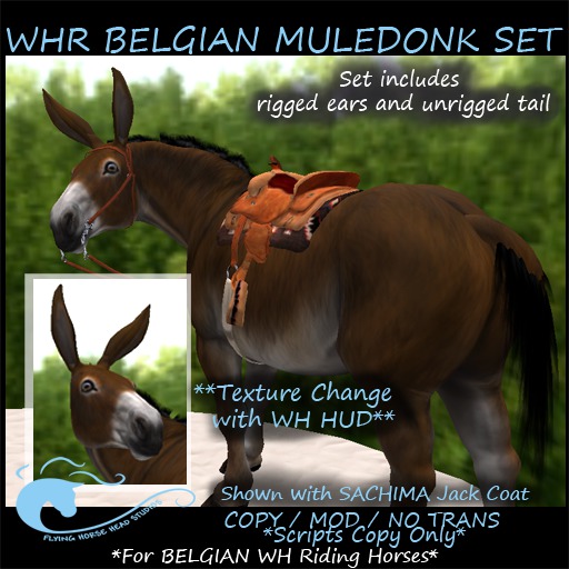 WH Riding Horse BELGIAN Muledonk Set