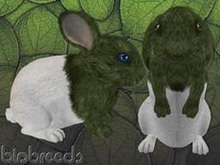 BB Bunny - Dipana Green - M - continued in description