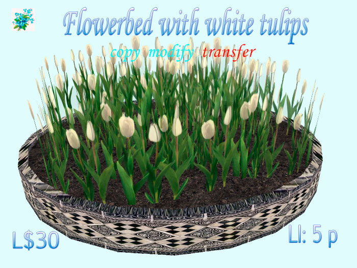 Flowerbed with white tulips