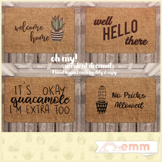 oh my! succulent doormats