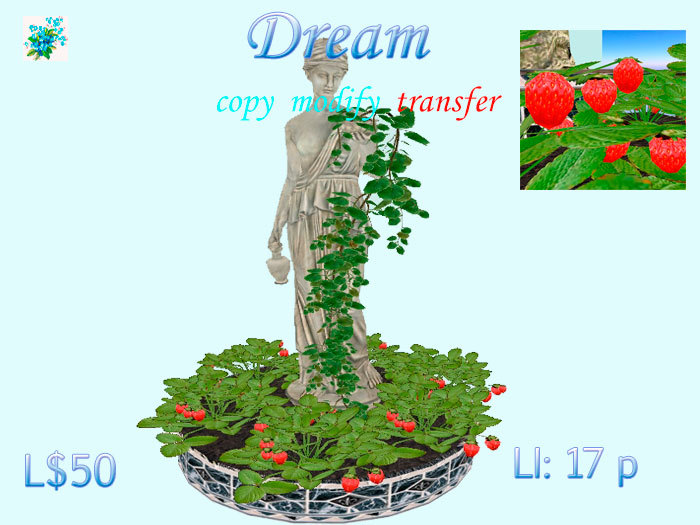 Dream 