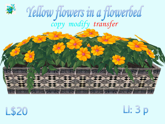 Yellow flowers in a flowerbed