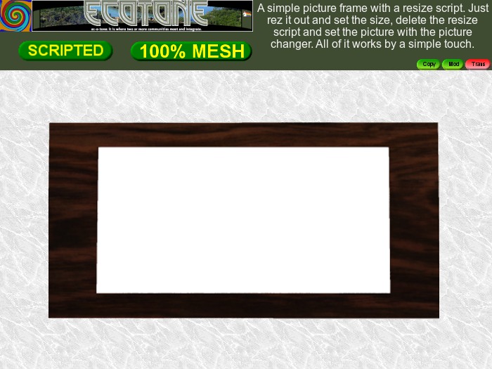 Rectangular Picture Frame (Copy/Mod)(wear to unpack)