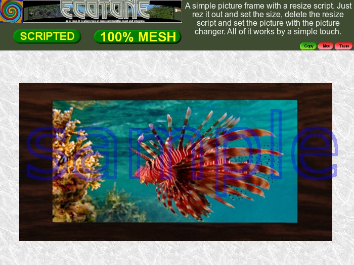 Various Fish Set 1 (Copy)(wear to unpack)