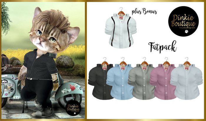 *DB* DINKIES HIPSTER DRESS SHIRT *FATPACK* (final)